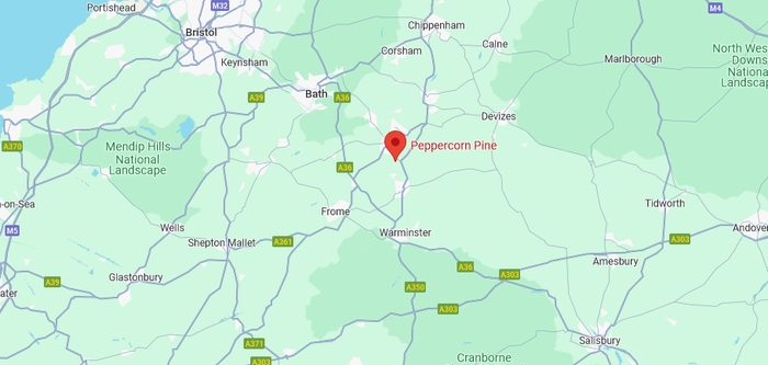 Peppercorn Pine Map